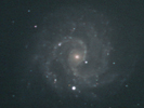 NGC3184