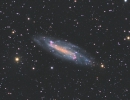 NGC4236